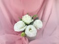 White roses flowers arrangement in vase on pink background. Royalty Free Stock Photo