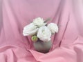 White roses flowers arrangement in vase on pink background. Royalty Free Stock Photo