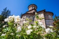 White roses flowers in front of Cozia monastery church on a sunny summer day Royalty Free Stock Photo