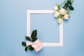 White roses and white frame present decorated with fresh leaves on a blue background.Flat layout. Copy space.