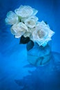 White roses in glass vase, blue theme Royalty Free Stock Photo