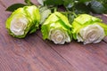 White roses with a green border on a wooden table Royalty Free Stock Photo