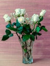 White roses with green leaves in a glass vase with water Royalty Free Stock Photo