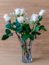 White roses with green leaves in a glass vase with water Royalty Free Stock Photo