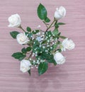 White roses with green leaves in a glass vase with water Royalty Free Stock Photo