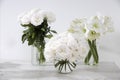 White roses, lily, in round vases with two cups of coffee on the table for a special occasion as a kitchen decoration Royalty Free Stock Photo