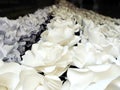 White roses paper crafts