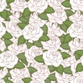 White roses seamless pattern, hand drawing, vector illustration. Royalty Free Stock Photo