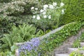 White roses by a stone stairs covered by flowers and ivy .