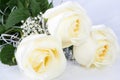 White roses