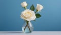 White roses in a vase on a blue background with copy space. Generative AI Royalty Free Stock Photo