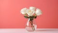 White roses in a vase on a pink background with copy space. Generative AI Royalty Free Stock Photo