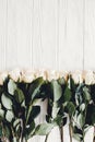 White roses on wooden background, flat lay with space for text. Royalty Free Stock Photo