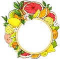 White round background with citrus fruits.