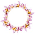 White round banner over colorful plumeria flower isolate on white background