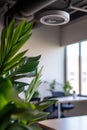 White Round Device on Office Ceiling, Plants, Large Windows, Modern Design, Professional Workspace Royalty Free Stock Photo