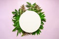 White round template podium mockup natural organic cosmetic product presentation promo with green leaves flowers nature frame flat