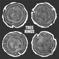 White round tree trunk cuts, sawn pine or oak slices, lumber. Saw cut timber, wood. Wooden texture with tree rings. Hand Royalty Free Stock Photo