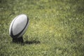 White Rugby ball over the grass in the stadium. Team sport concept Royalty Free Stock Photo