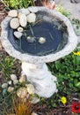 A Rustic Birdbath in a Flower Garden