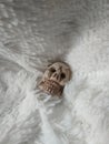 Skull sculpture on white synthetic hair texture