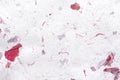 White sa paper texture with red rose flower petal on background Royalty Free Stock Photo