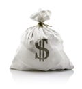 White sack with dollars money