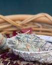 White Sage Smudge Sticks in a Seashell Royalty Free Stock Photo