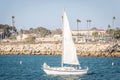 White Sailboat Sailing in a Harbor Royalty Free Stock Photo