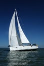 White sailboat taking speed under blue sky Royalty Free Stock Photo
