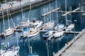 White Sailboats Docked in Seattle Royalty Free Stock Photo