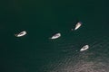 White sailing yachts in the sea top view Royalty Free Stock Photo