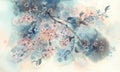 White sakura flower blossom on a dark background watercolor. Royalty Free Stock Photo