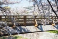 White sakura at wooden bridge Yamazaki river, Nagoya Royalty Free Stock Photo