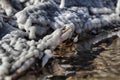 White salt formation near a salted spring in Parajd, Romania Royalty Free Stock Photo