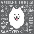 White Samoyed dog