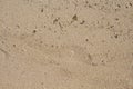 White sand beach closeup background. Tropical beach photo. Exotic island sandy beach texture. Royalty Free Stock Photo