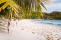 White sand beach with coconut palms on tropical island, Anse Takamaka beach, Seychelles Royalty Free Stock Photo