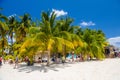 White sand beach with cocos palms, Isla Mujeres island, Caribbean Sea, Cancun, Yucatan, Mexico Royalty Free Stock Photo