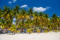 White sand beach with cocos palms, Isla Mujeres island, Caribbean Sea, Cancun, Yucatan, Mexico Royalty Free Stock Photo