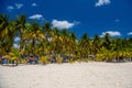 White sand beach with cocos palms, Isla Mujeres island, Caribbean Sea, Cancun, Yucatan, Mexico Royalty Free Stock Photo