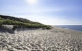 White sand beach with grass at North Sea on Sylt island in summer Royalty Free Stock Photo