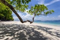 White sand beach at Khang Khao Island Bat island, Ranong Province, Thailand