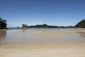 White sand beach, New Zealand