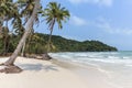 White sand beach, ocean and palm trees Royalty Free Stock Photo