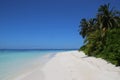 White Sand Beach With Palm Trees, Blue Skies And Crystal Clear Water Royalty Free Stock Photo