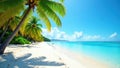 White sand beach, palm trees, clear water, bright sunlight, sand, view, shore Royalty Free Stock Photo