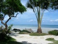 White Sand Beach in Santa Fe Bantayan Island Cebu Philippines Photo