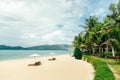 White sand beach with sunbeds and palms Royalty Free Stock Photo