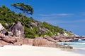 White sand beach on tropical Indian Ocean island